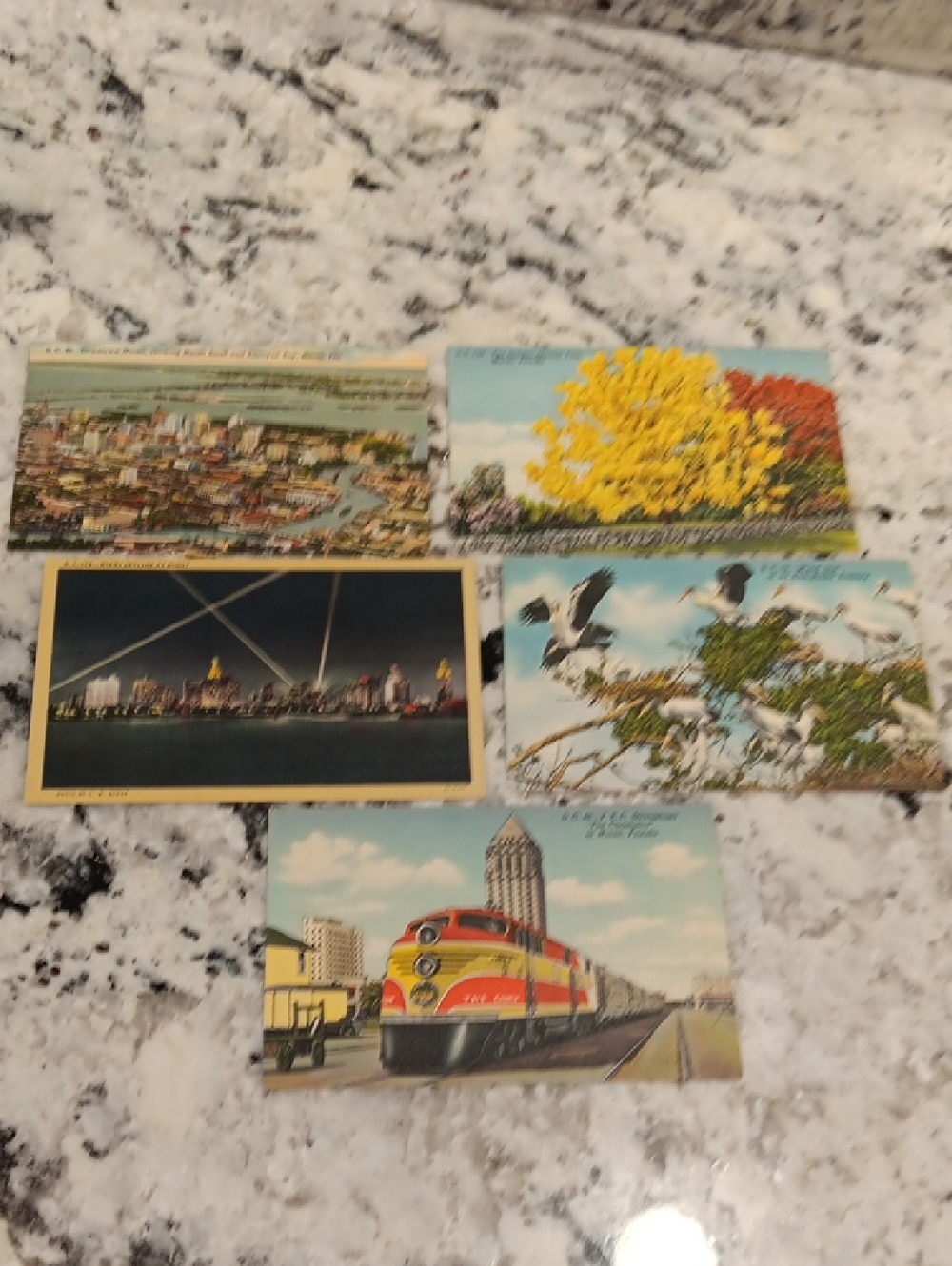 Vintage Frameable Florida Postcards